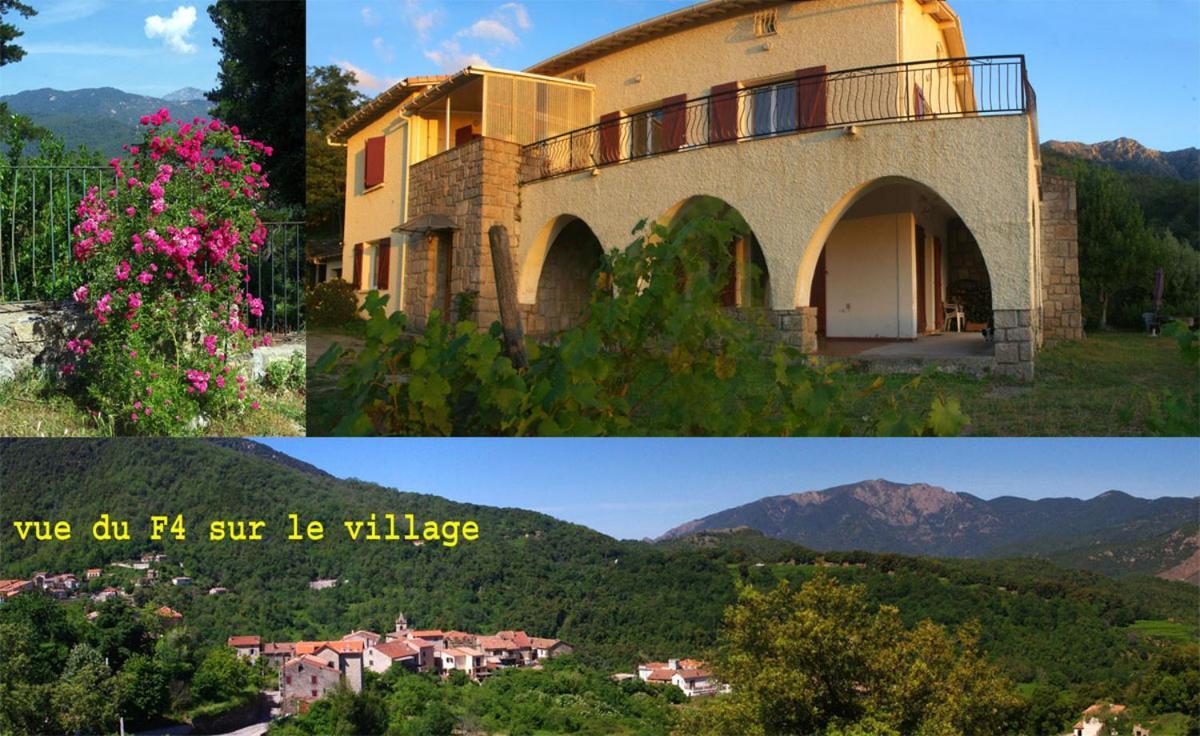 Ucciani 95M2 Au Calme A 25Mn Ajaccio, Plages, Linge Inclus Parking Ok מראה חיצוני תמונה