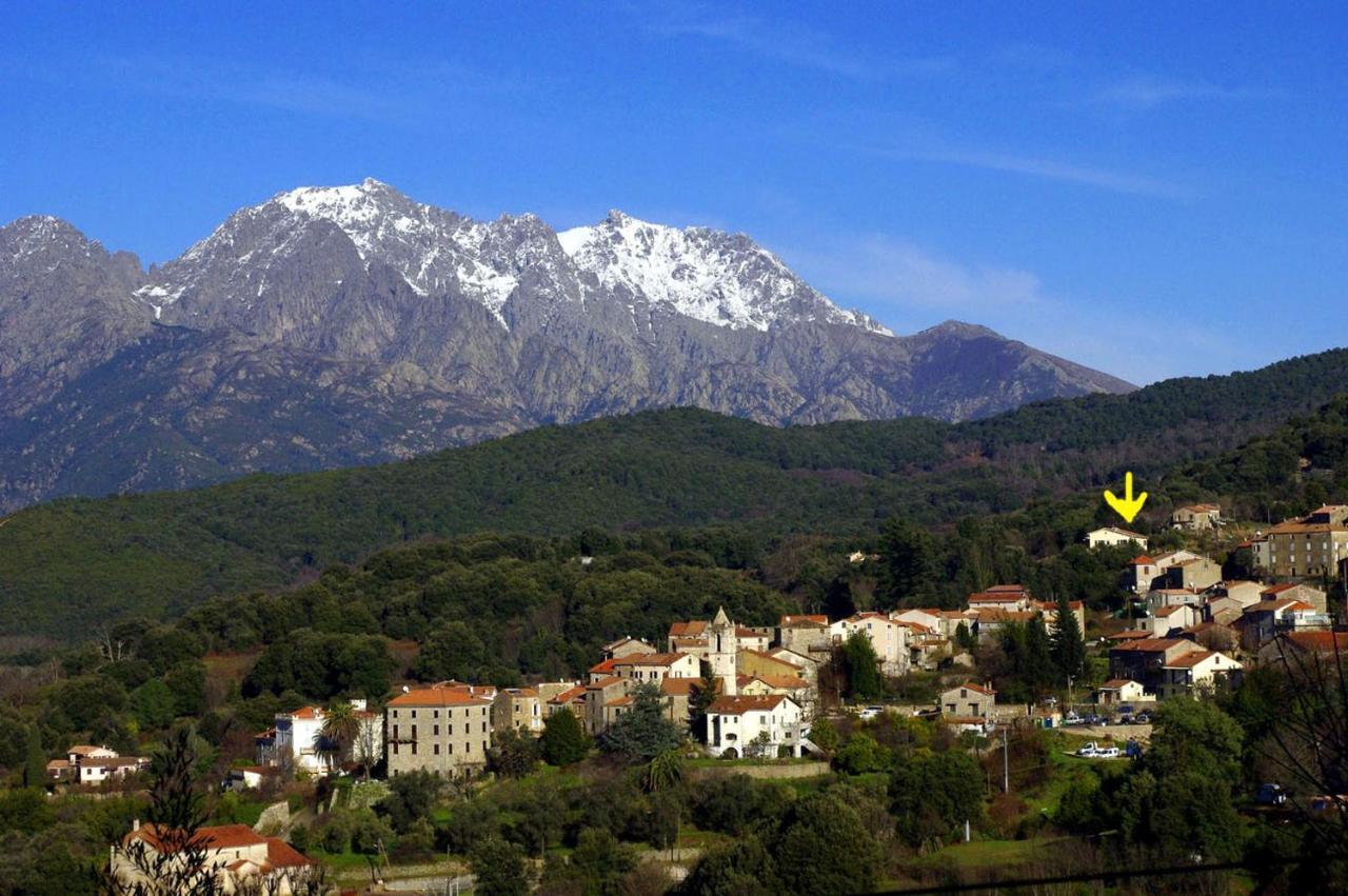 Ucciani 95M2 Au Calme A 25Mn Ajaccio, Plages, Linge Inclus Parking Ok מראה חיצוני תמונה